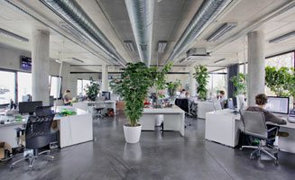 Noleggio piante per uffici